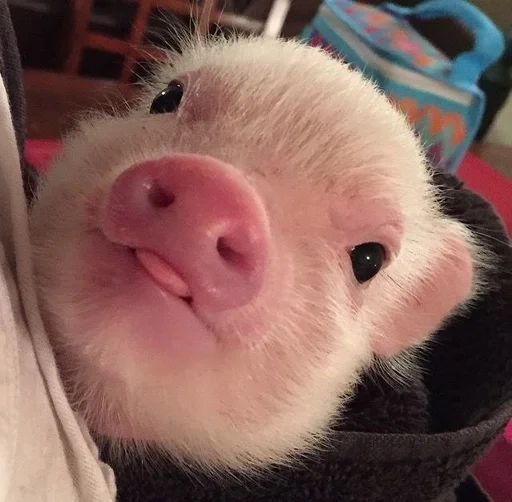 😋