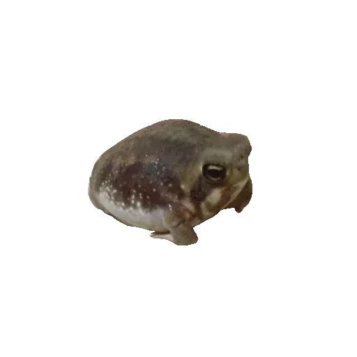 Эмодзи Toad