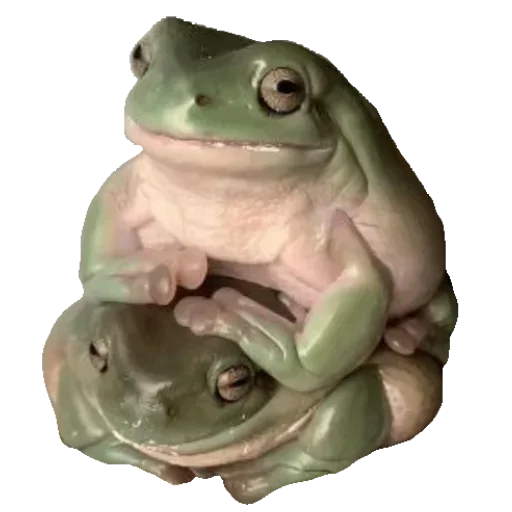 Эмодзи Toad