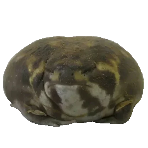 Эмодзи Toad