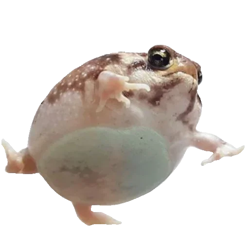 Эмодзи Toad