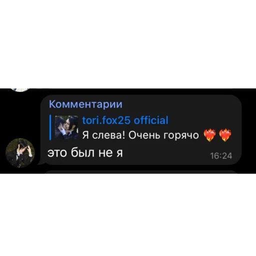 Эмодзи тори фокс и ледь от qwhiner