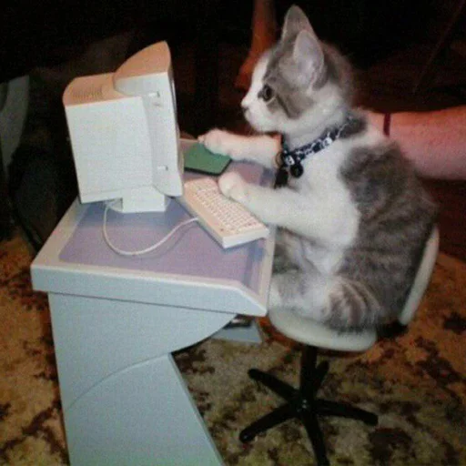 Эмодзи Тостер или жизнь