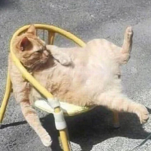 Эмодзи Тостер или жизнь