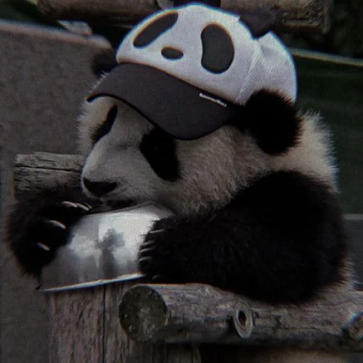 Эмодзи panda