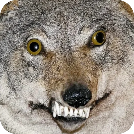 Эмодзи ТОКСИК😊КОЛЛЕКШН