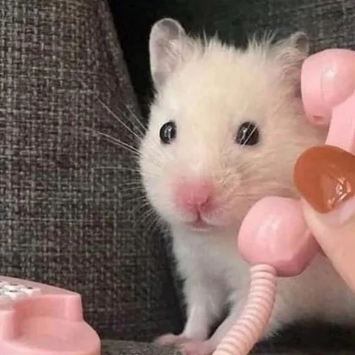 Эмодзи ТОКСИК😊КОЛЛЕКШН