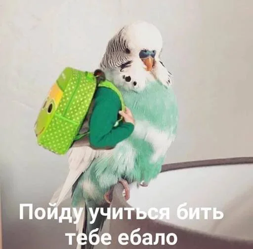 🤨