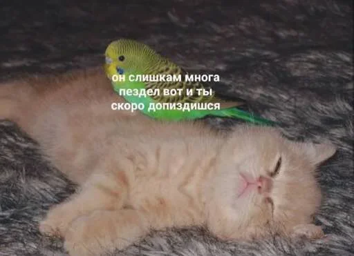 Эмодзи Outrageous