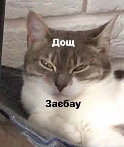 Эмодзи Outrageous