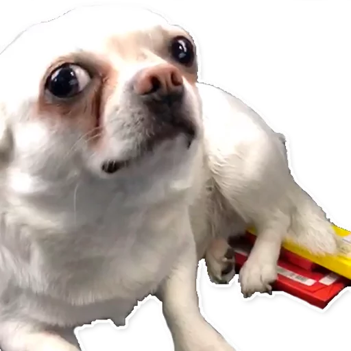 Эмодзи Цобакк