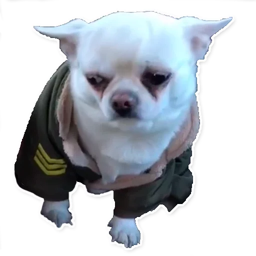 Эмодзи Цобакк