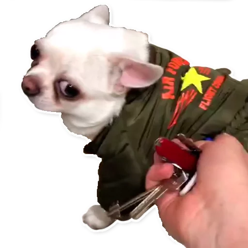 Эмодзи Цобакк