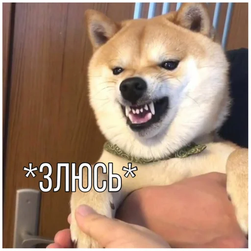 Эмодзи Собачки