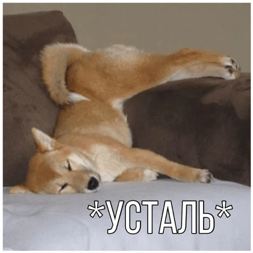 Эмодзи Собачки