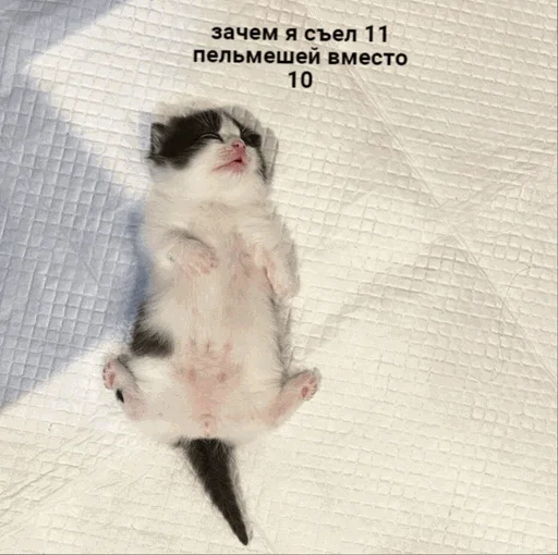 Эмодзи творог скис кис кис