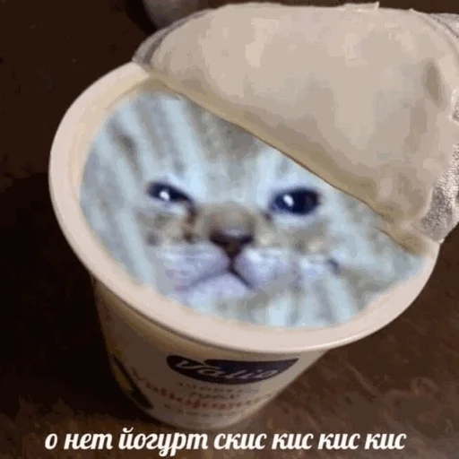 Эмодзи творог скис кис кис