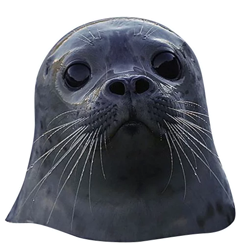 Эмодзи Тюленюс