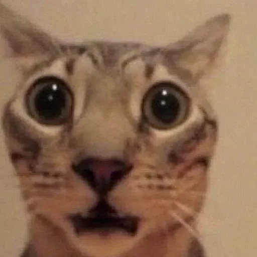 Эмодзи НеКэт