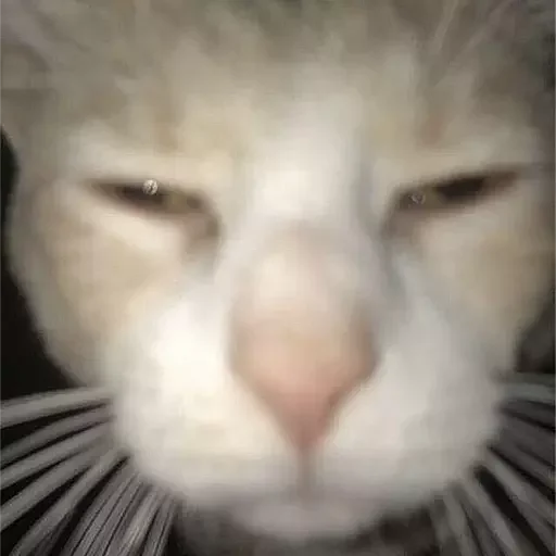 Эмодзи НеКэт