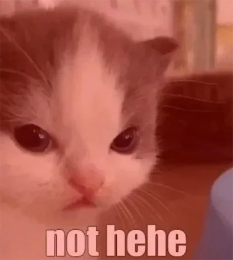 Эмодзи укр стікери