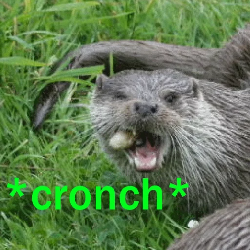 Эмодзи Ultra Lutra