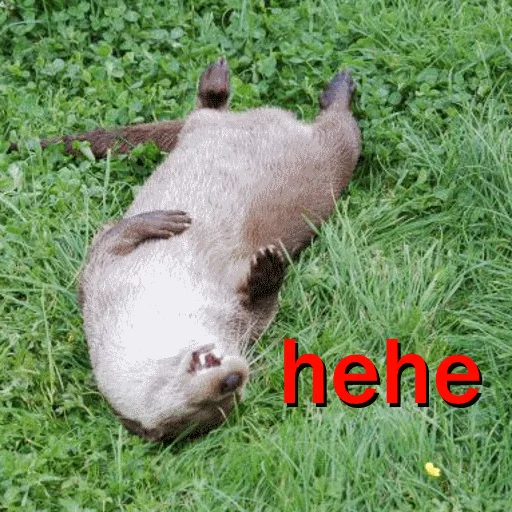 Эмодзи Ultra Lutra