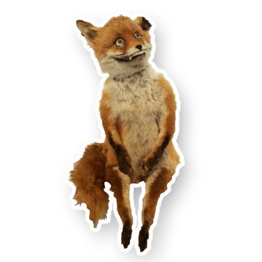 Эмодзи УпоротаяЛиса