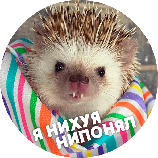 Эмодзи ? Hedgehog memes