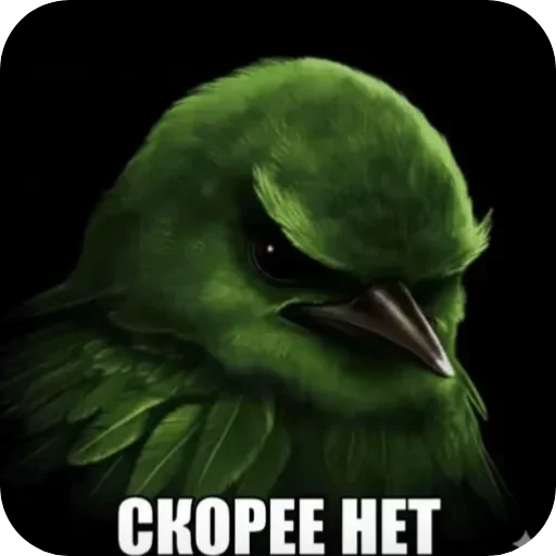 Эмодзи Birds Memes