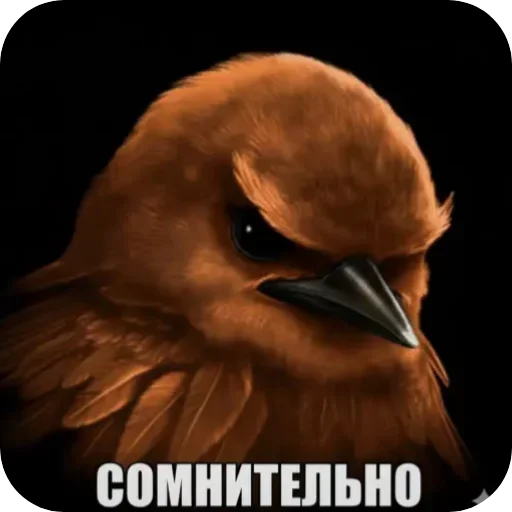 Эмодзи Birds Memes