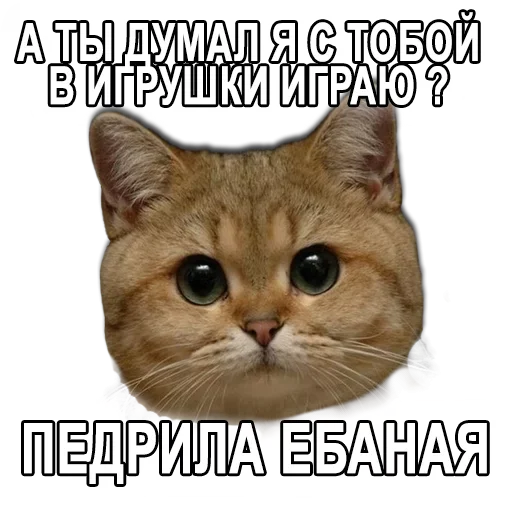 Эмодзи Ушки Лапы Хвост