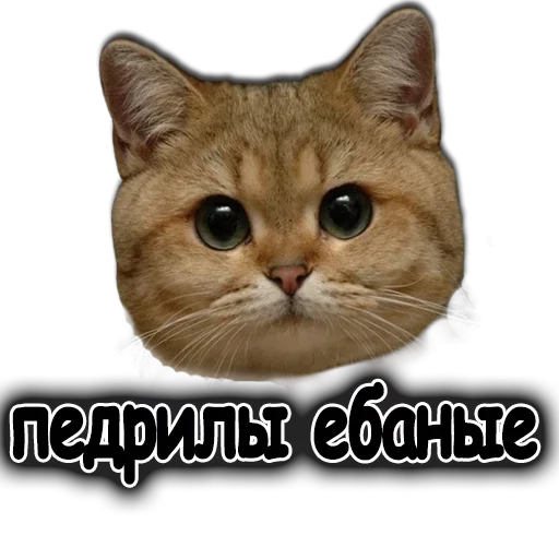 Эмодзи Ушки Лапы Хвост