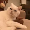 Эмодзи Утомленный кот