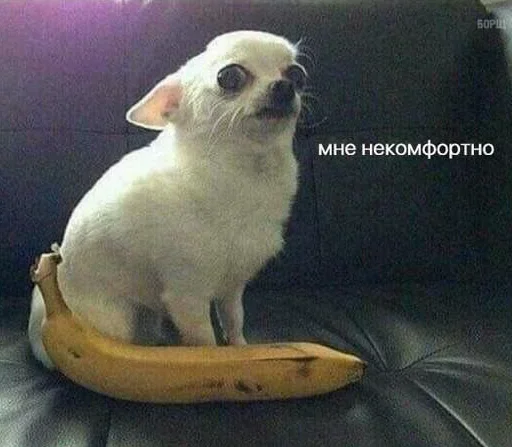 Эмодзи Утро Хуютро
