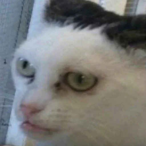 Эмодзи Увернулся от бана