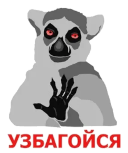 🤚