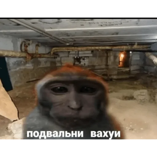 Эмодзи вахуи