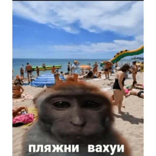 Эмодзи вахуи