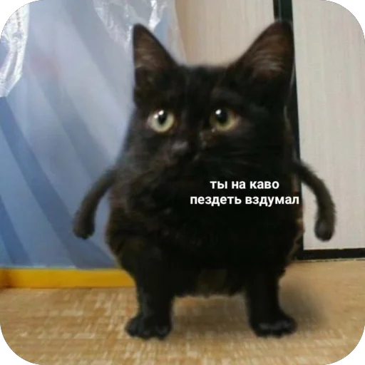 Эмодзи для важных переговоров