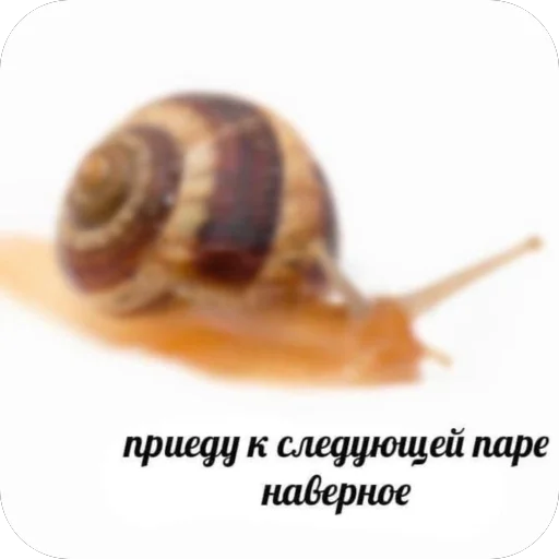 Эмодзи для важных переговоров