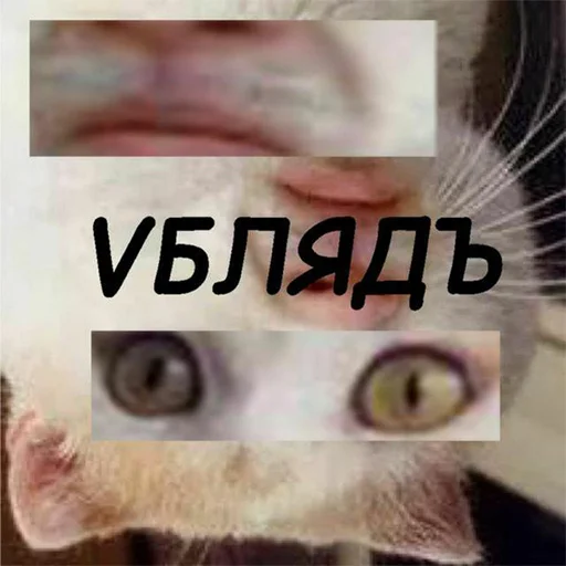 😶