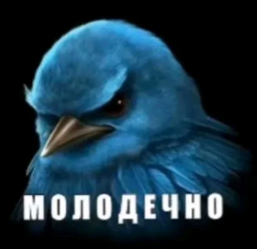 Эмодзи Birds Memes