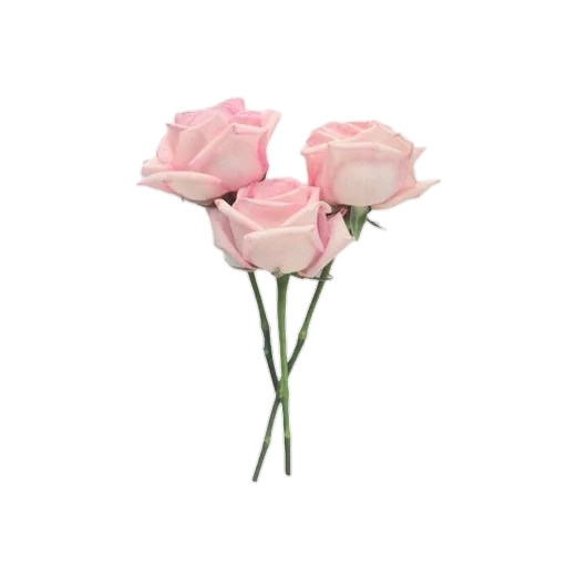 Эмодзи pink vibe