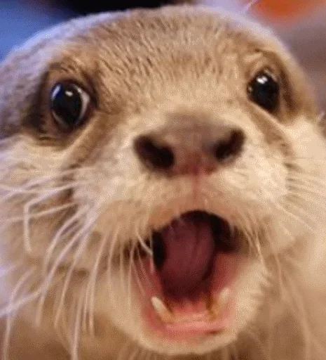 😃