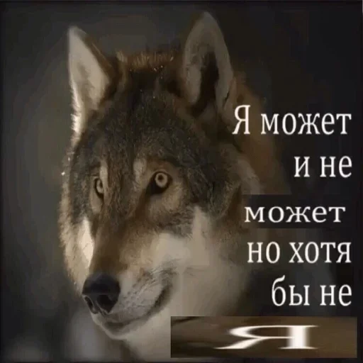 Эмодзи Волчья Стая