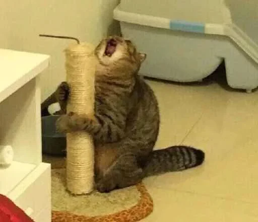 Эмодзи Kitty