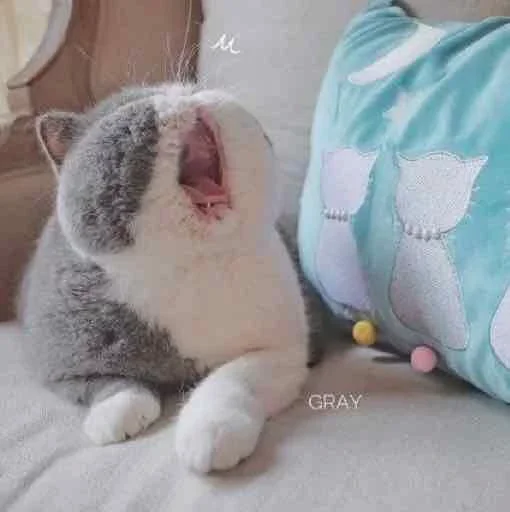 Эмодзи Kitty