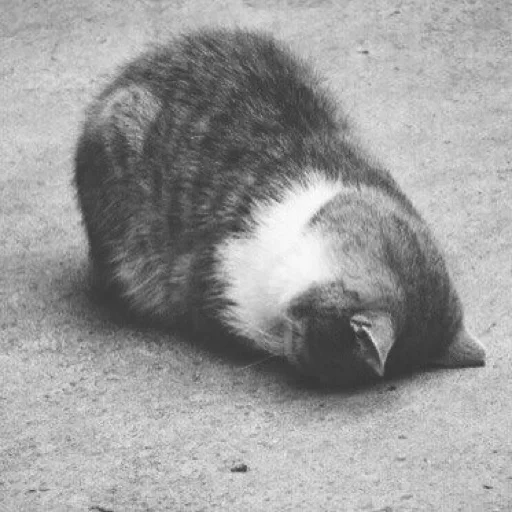 Эмодзи Kitty