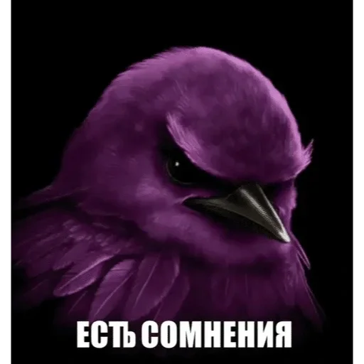 Эмодзи Birds Memes